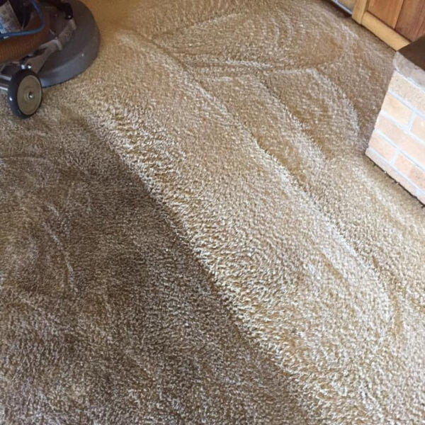 types of carpet cleaners