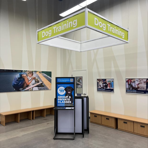 Images Petco Dog Training