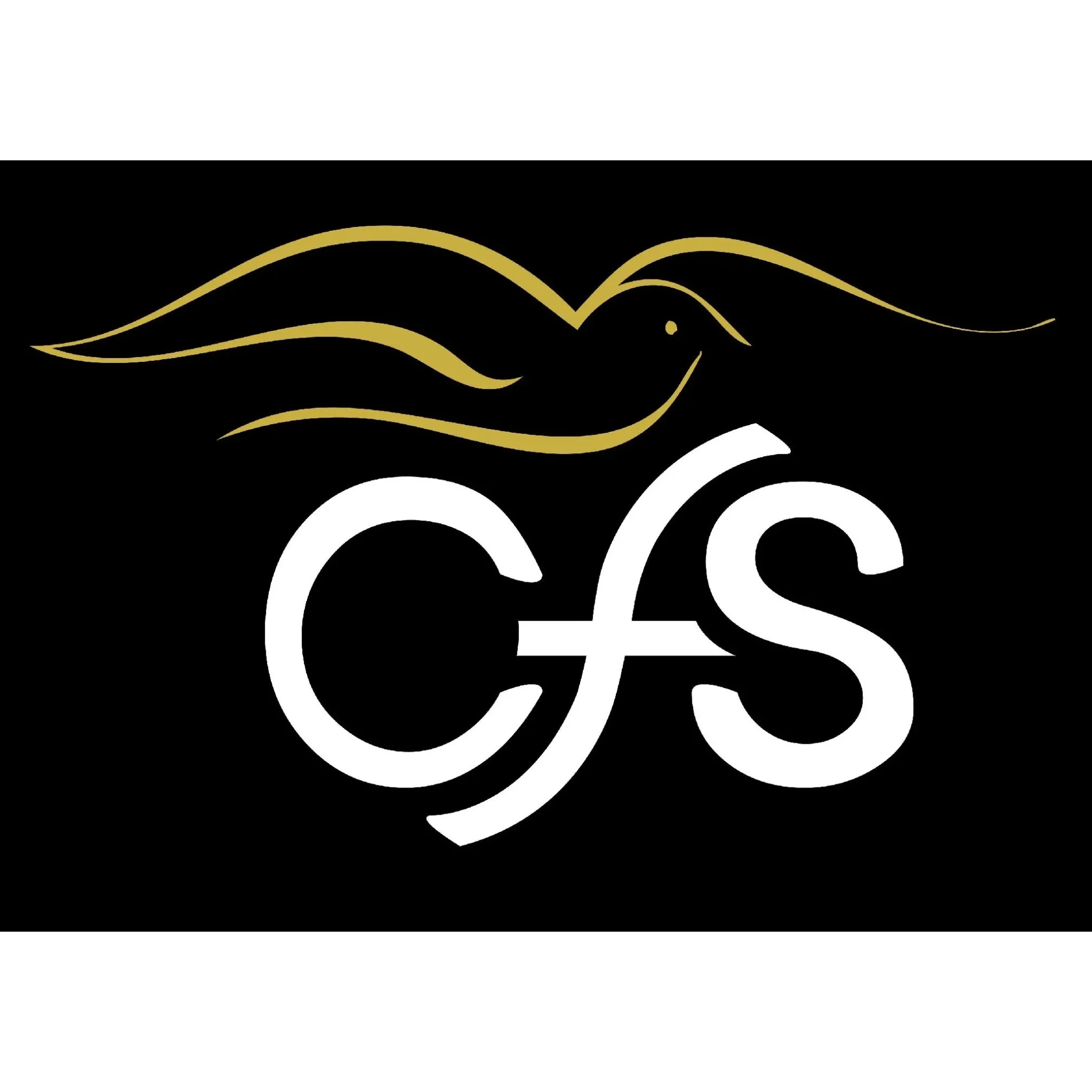 company logo