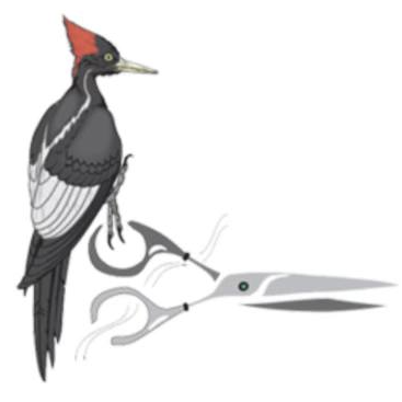 Parturi-Kampaamo Tikantupa Logo