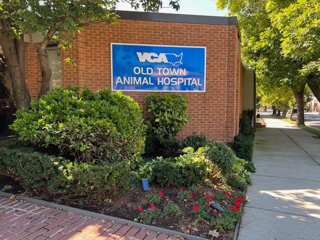 Image 7 | VCA Old Town Animal Hospital
