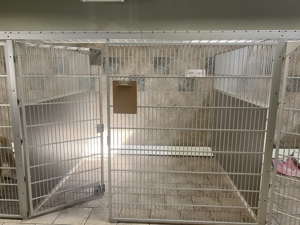 Images VCA Santa Margarita Animal Hospital