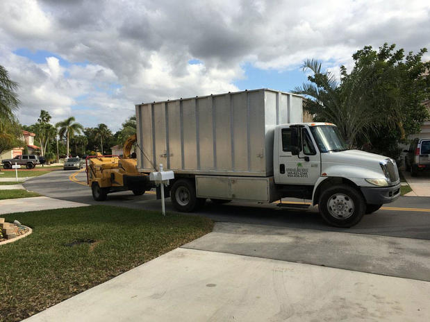 Images Affordable Tree Service Inc. - Tree Service Miami