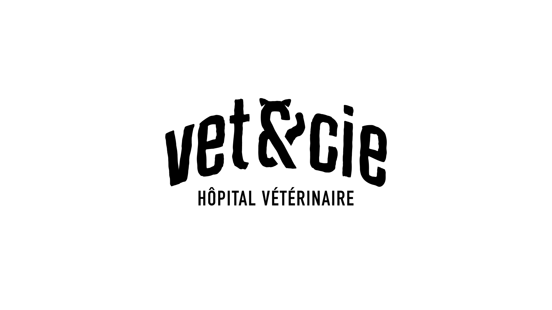 Images Vet & Cie Brossard | Vétérinaire indépendant & québécois, Toilettage, Parc canin, Urgences chiens et chats | Montérégie