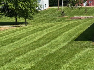 Images Quality Ground Maintenance