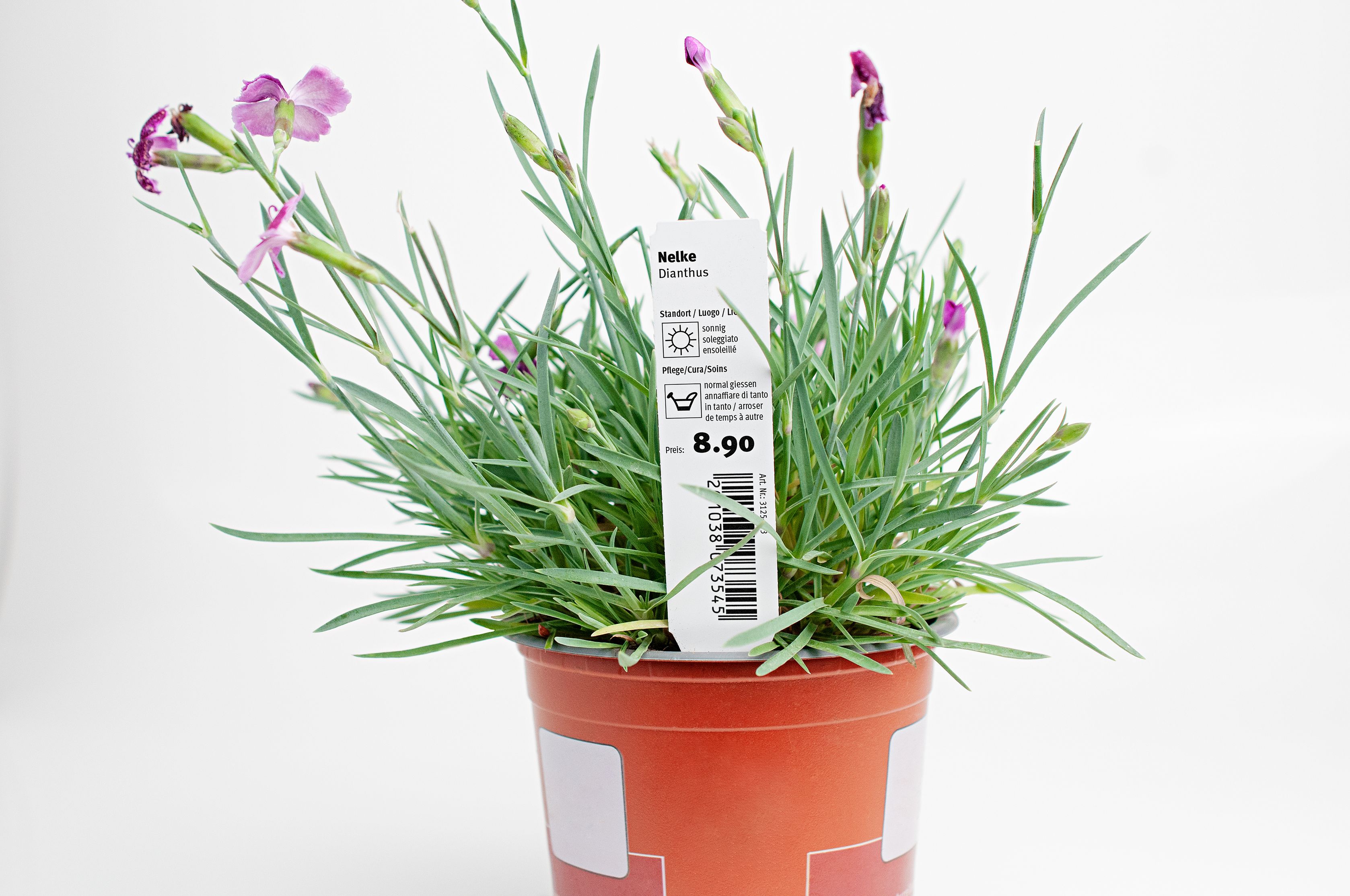 Bilder Labelpack AG