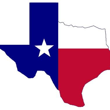 Texas Tax Chicks LLP Logo