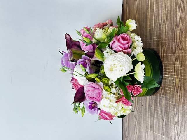 Images Jane's Roses & Flowers