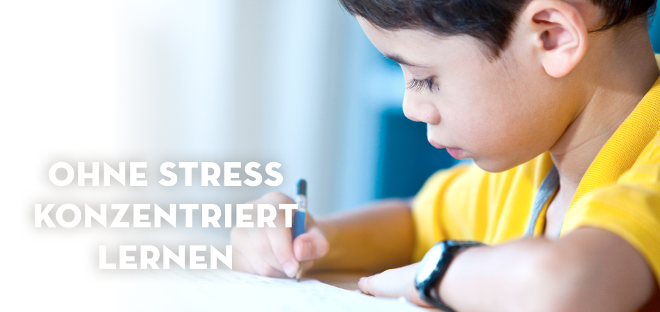 Leicht Lernen UG, Rosenstraße 2 in Burgthann