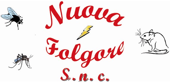 Images Nuova Folgore