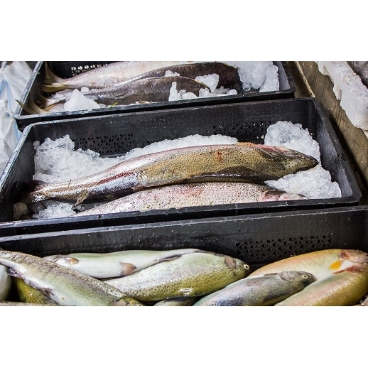 Jones' Fish House Inc
