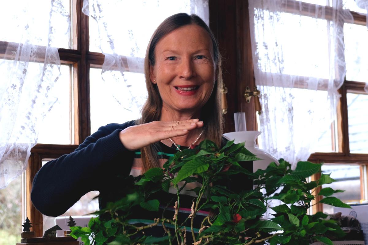 Bild 2 Reikischule Schwarzwald und Heilpraxis Dagmar Schneider-Damm in Niedereschach