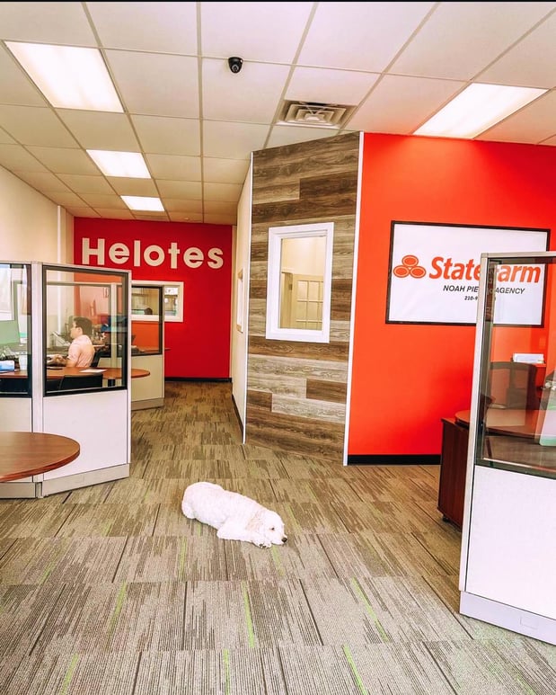 Images Noah Pierce - State Farm Insurance Agent