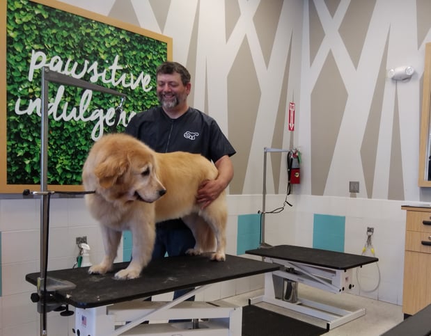 Images Petco Grooming