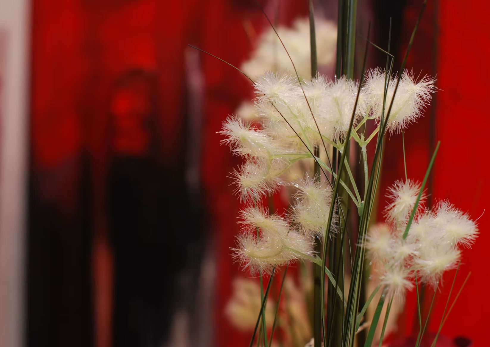 Bilder Bullo Luca Fiori