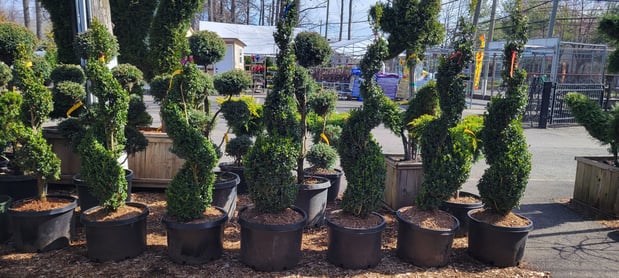 Images Victory Nursery & Landscaping Inc
