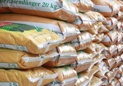 Images Pernarella Giovanni