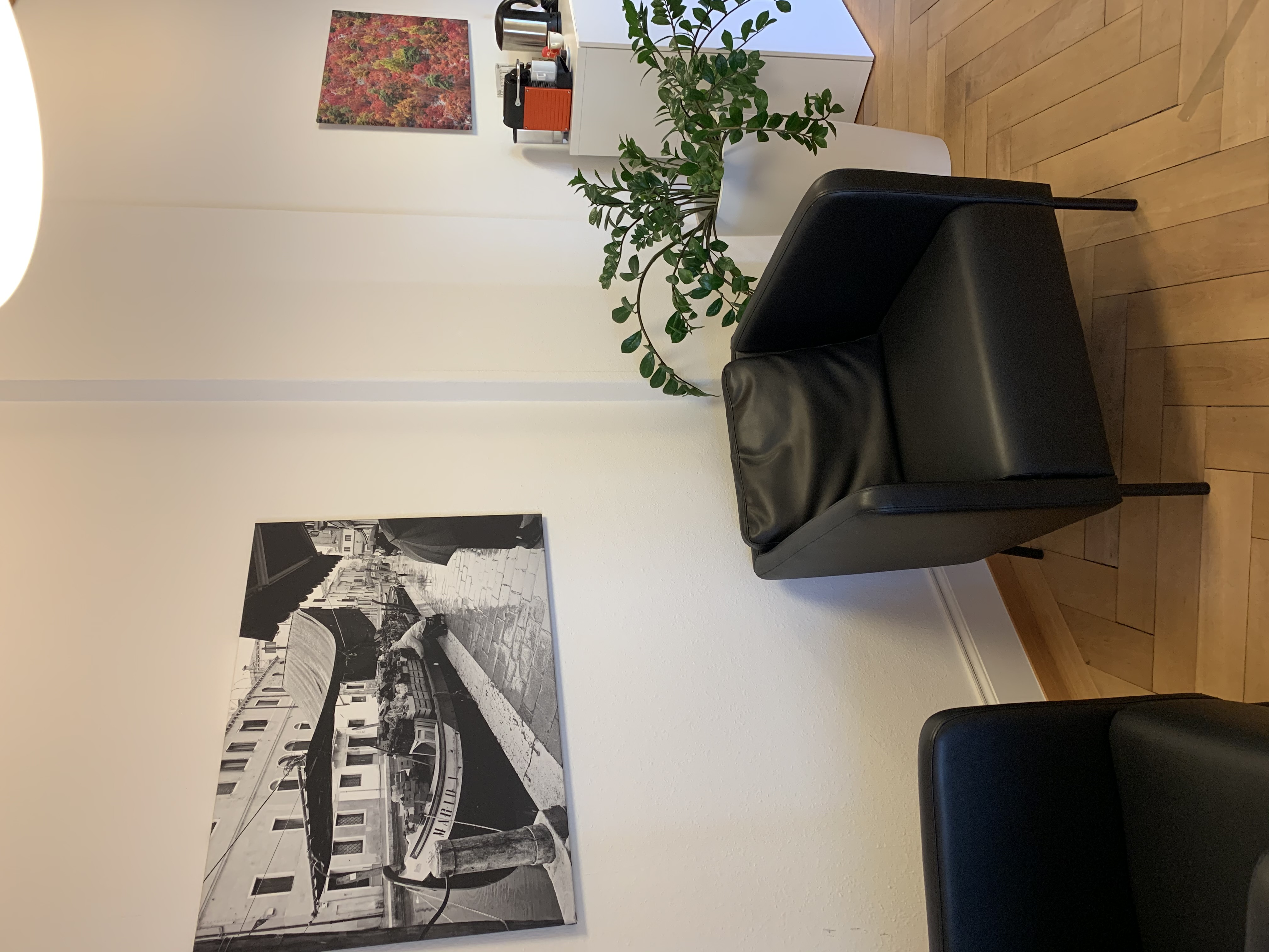 professional language center, Am Schanzengraben 15 in Zürich