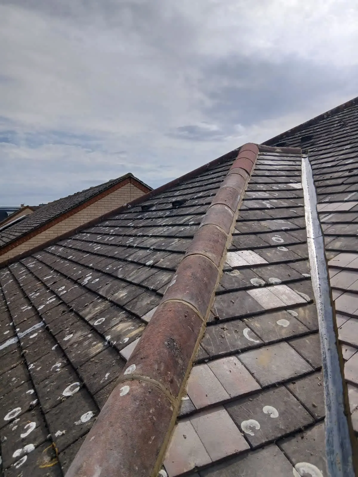 Images Stars Roofing Ltd