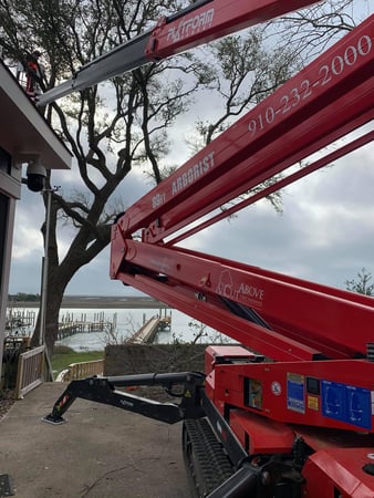 Images A Cut Above Tree Experts