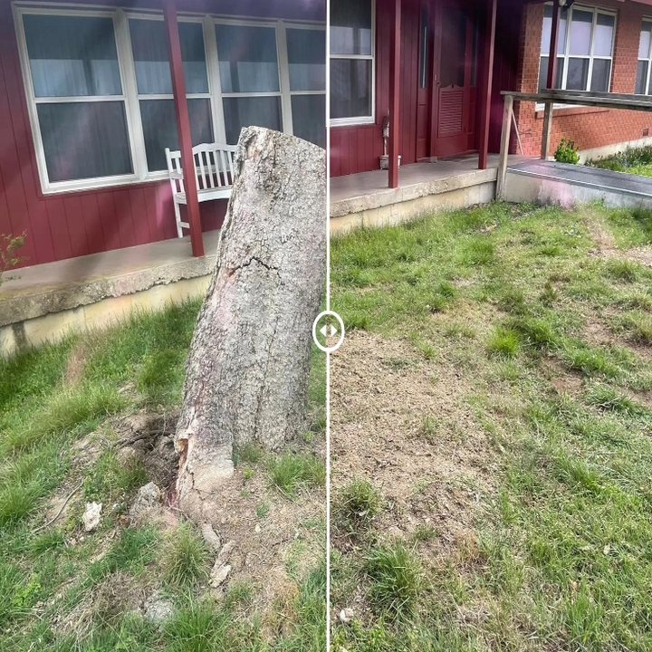 Images Cody's Tree Services