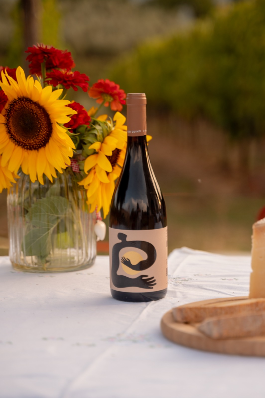 Images Cantina dei Quinti