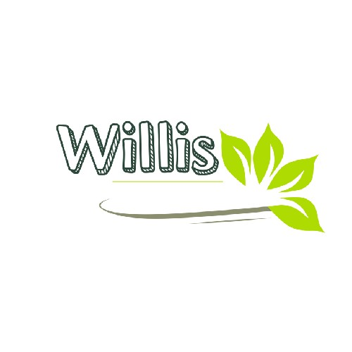 Willis Restaurant Inh. Duc Thuan Dinh in Berlin - Logo