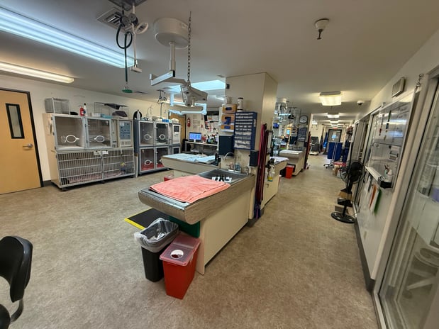 Images VCA Southeast Portland Animal Hospital