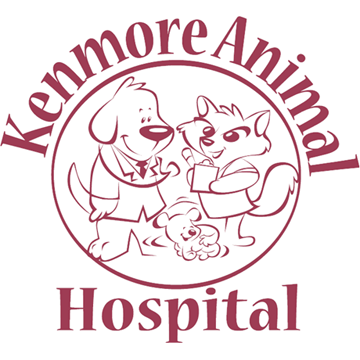 Kenmore Animal Hospital