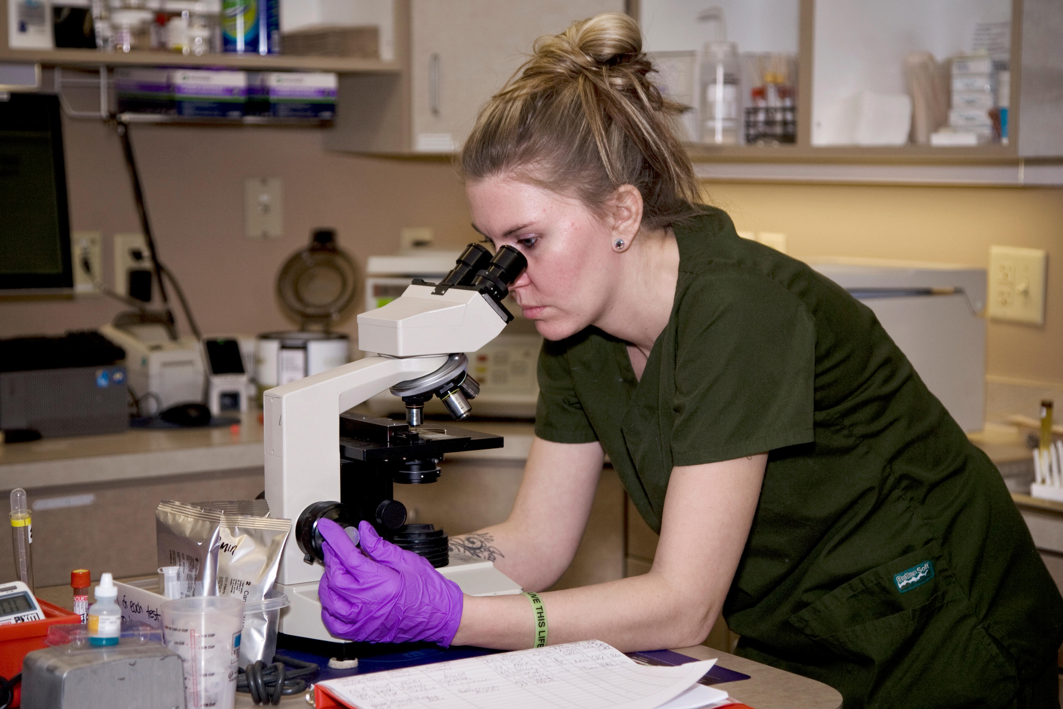 A veterinary technician examines a sample using a microscope in our on-site diagnostic laboratory. We are able to perform urinalysis, parasite testing, fungal cultures, blood work, and much more.