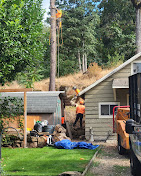 Images Alexa's Tree Service