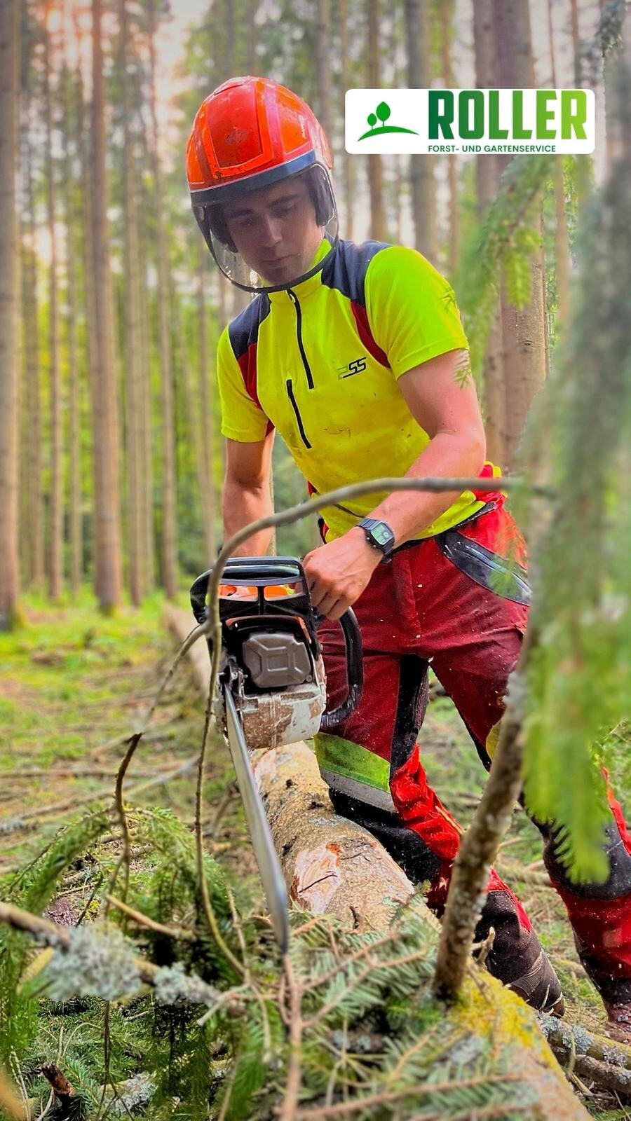 Bilder Forst- und Gartenservice Roller