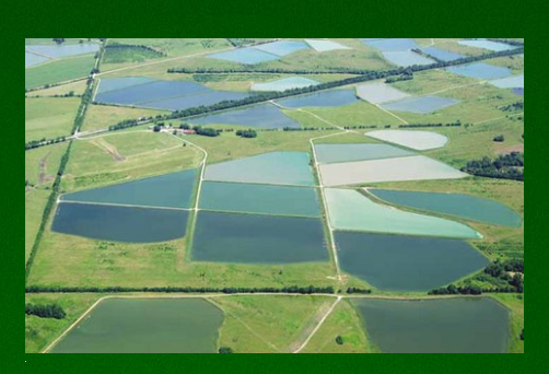 Images José Luis Martínez Dablanca