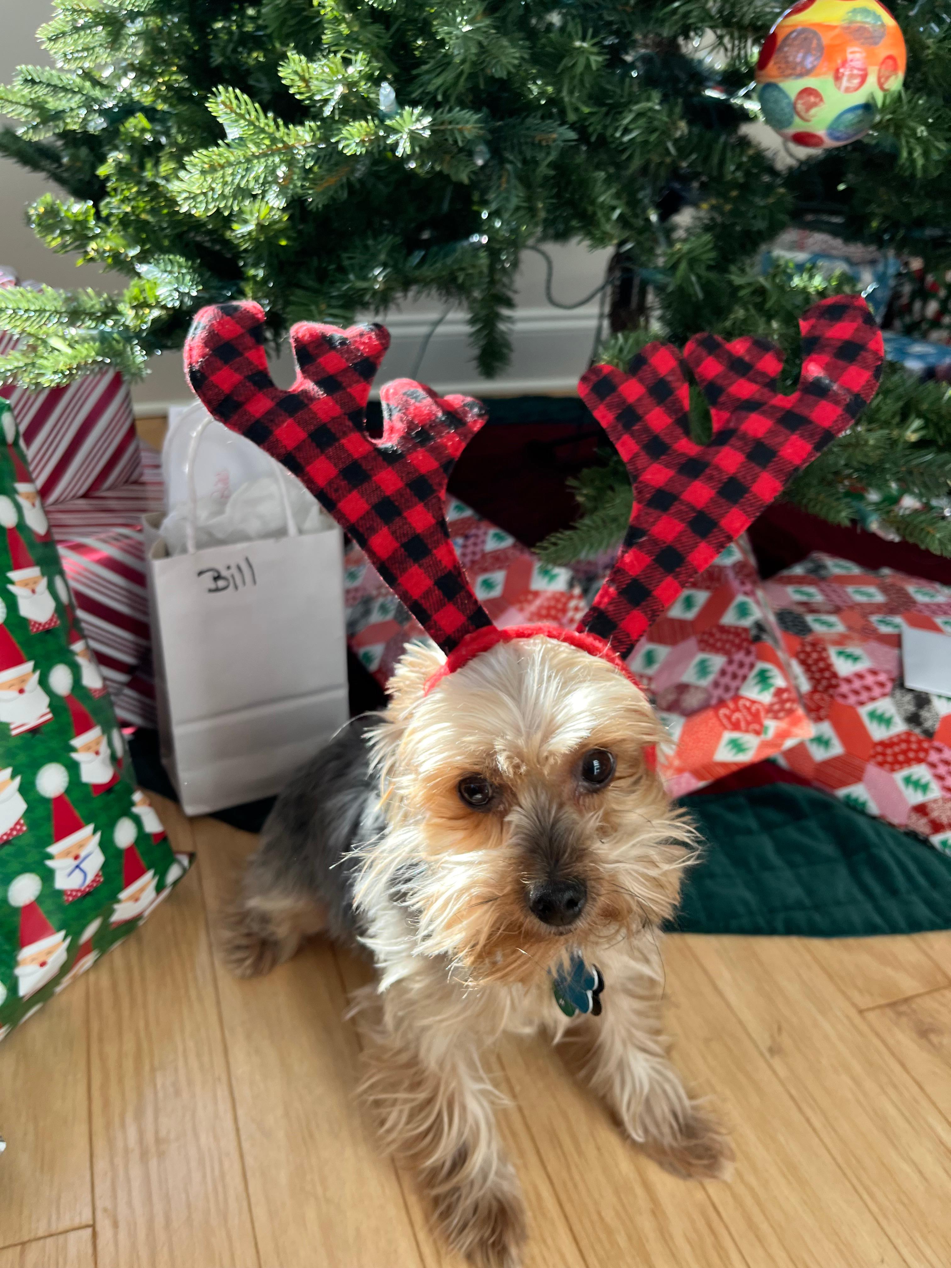 Gillespie Agency, LLC: Allstate Insurance Image