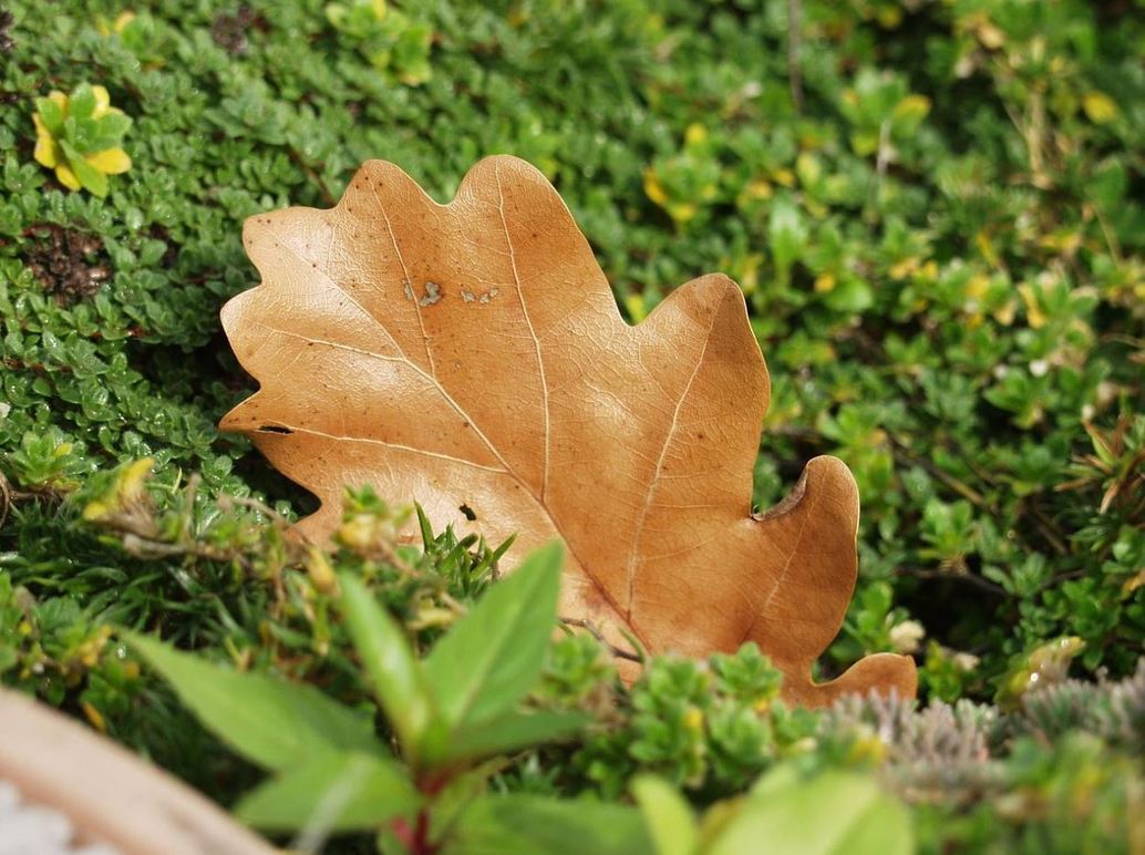 Images Ekhälsan - Terapi Linköping