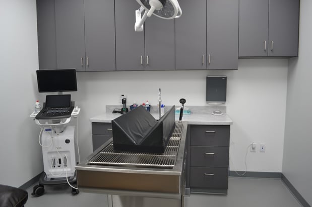Images VCA Sawmill Animal Hospital