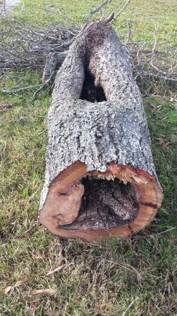 Images TNT Tree Service