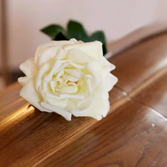 Funeral House Bestattungshaus Romio Logo