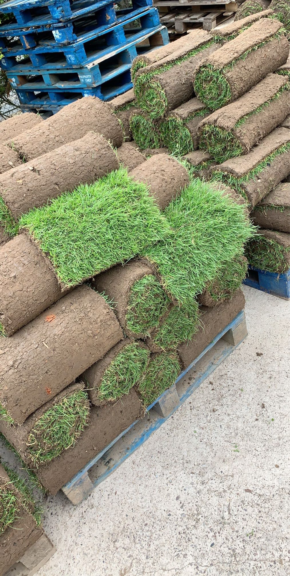 Images Quality Turf Suppliers
