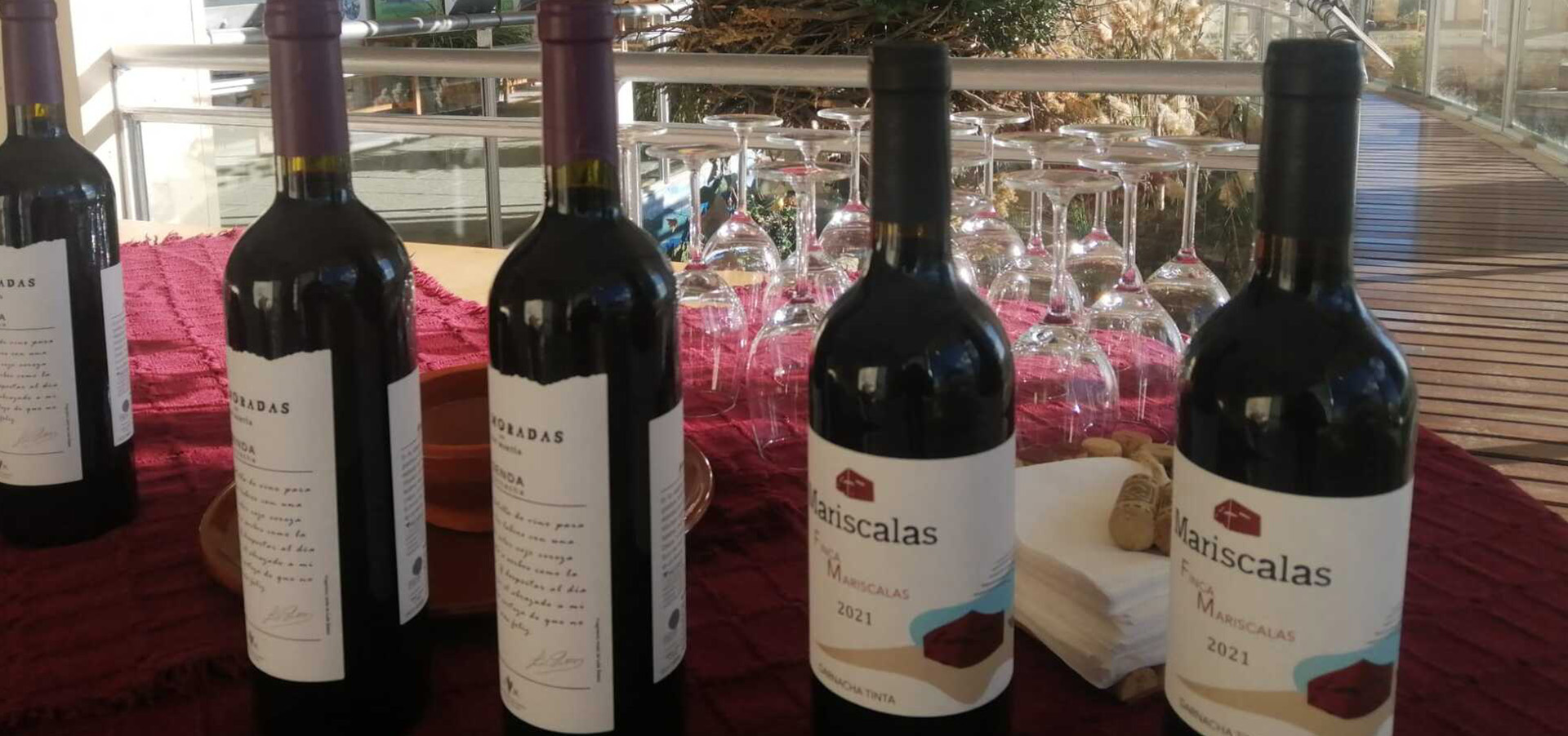 Images Offerendus la vinoteca del castillo de La Coracera