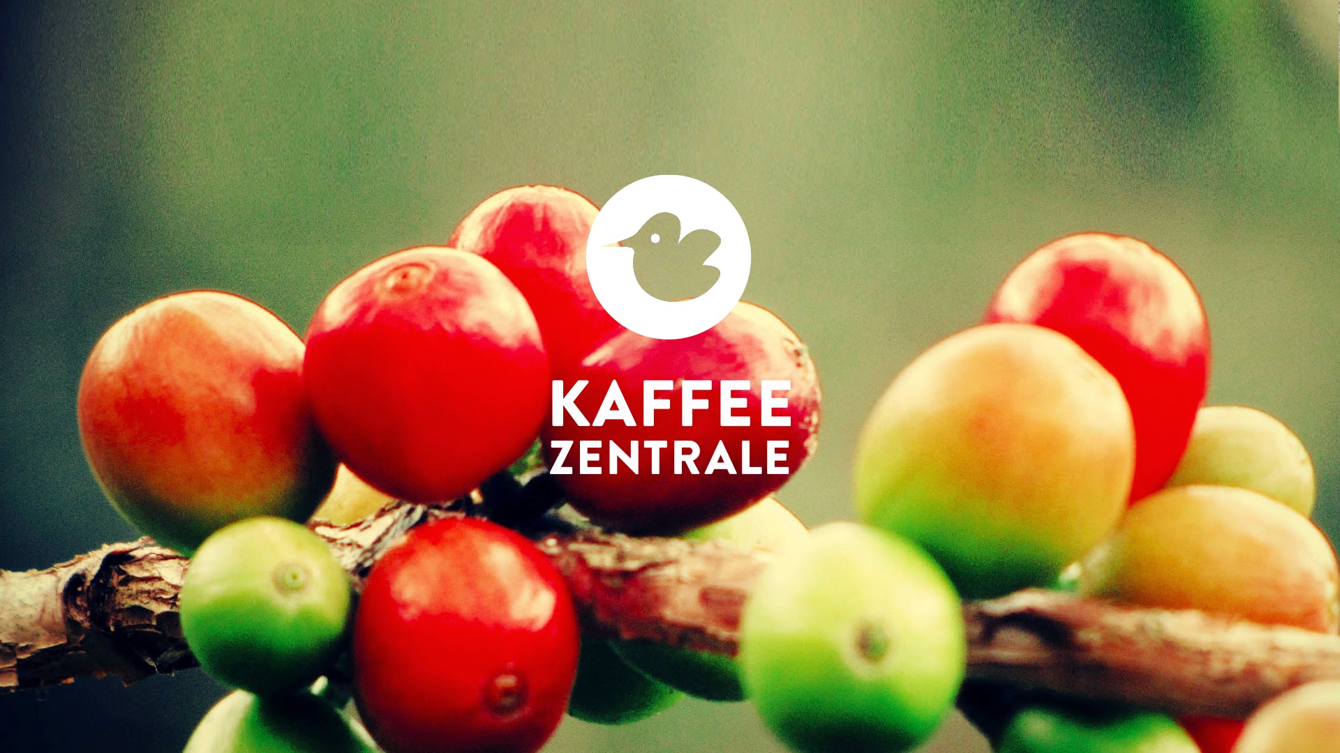 Bilder Kaffeezentrale Schweiz
