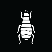Images Exterminateurs Québec