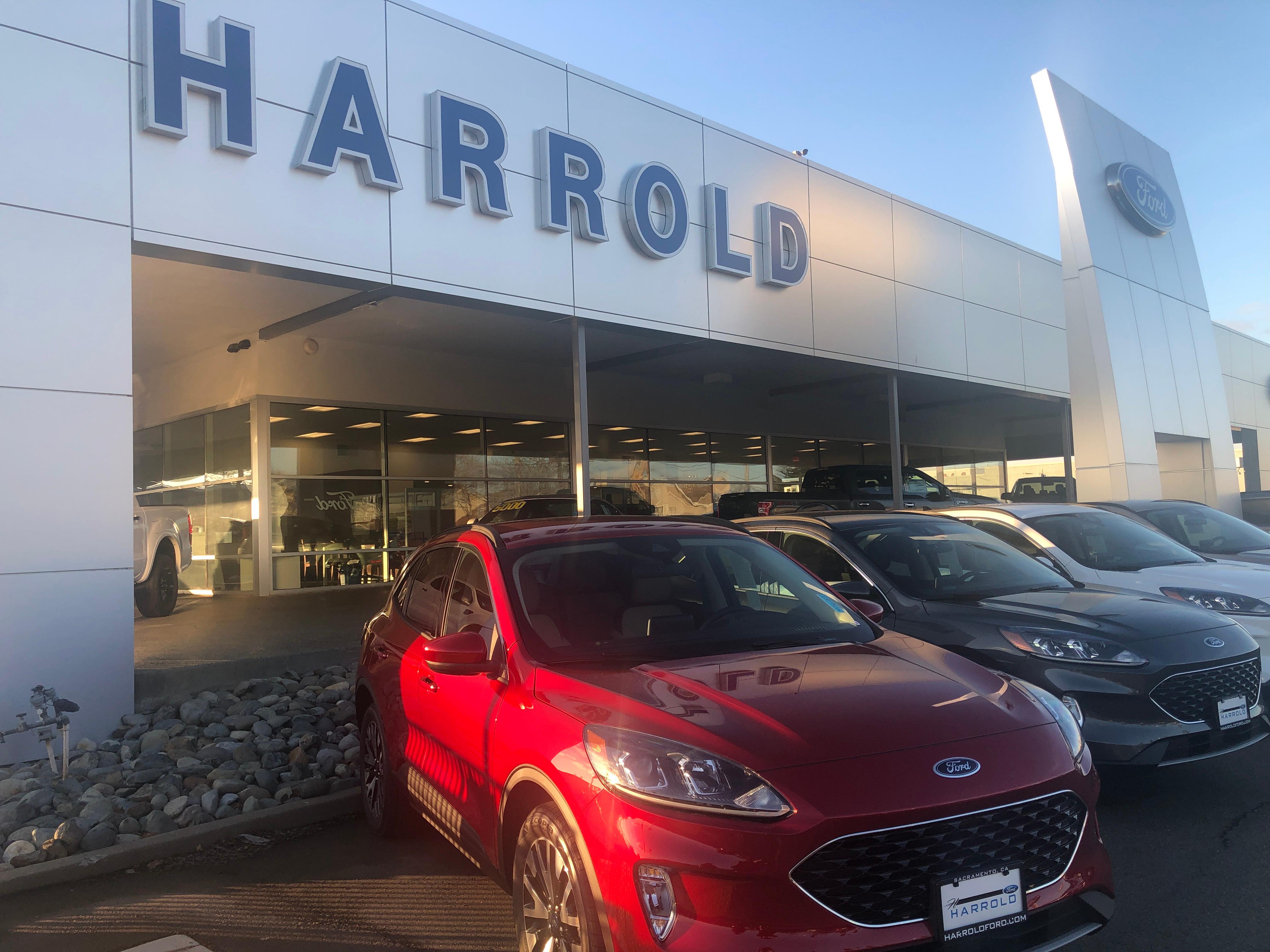 Harrold Ford Photo