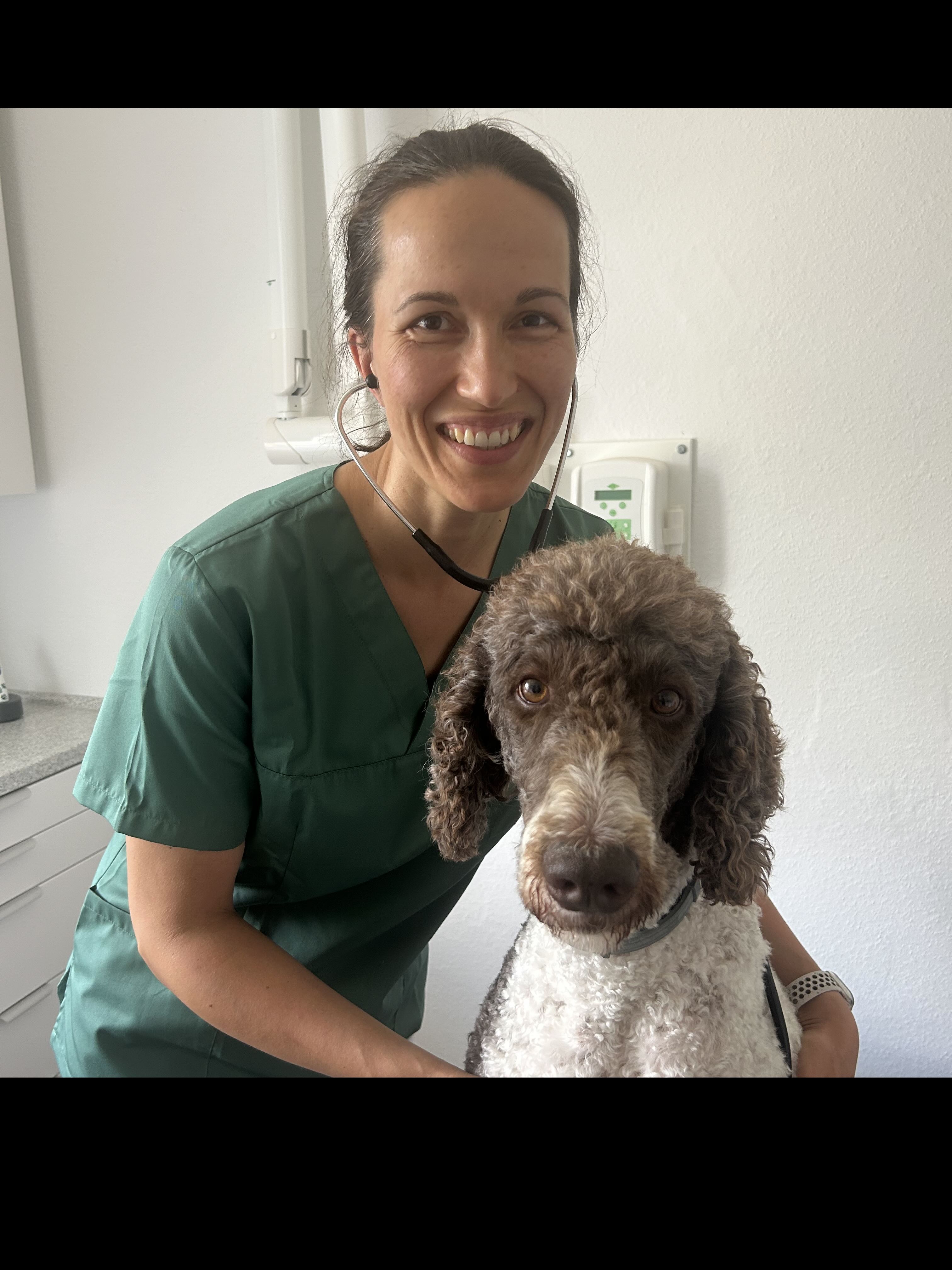 Tierarztpraxis Dresden Coschütz, Achtbeeteweg 43 in Dresden