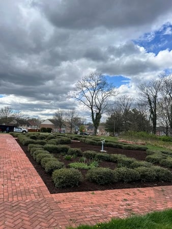 Images David Kennedy Tree & Landscaping