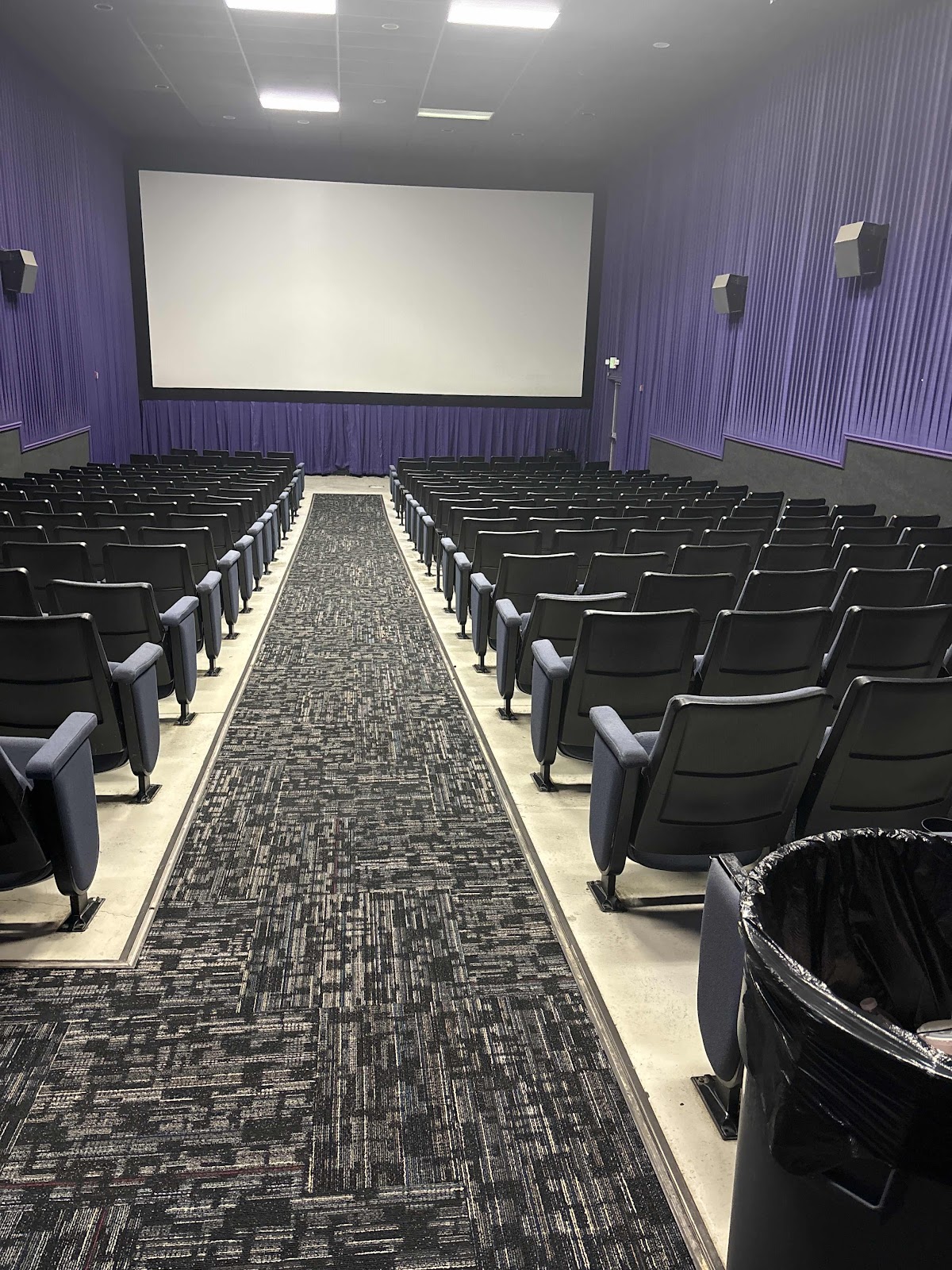 A wide shot of an empty movie theater, showing rows of dark blue seats facing a large white projecti 