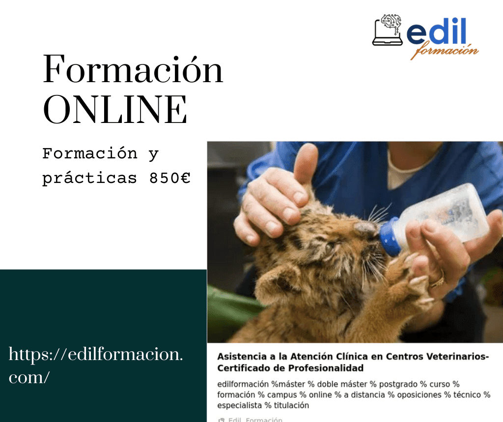 Images Edil Formación