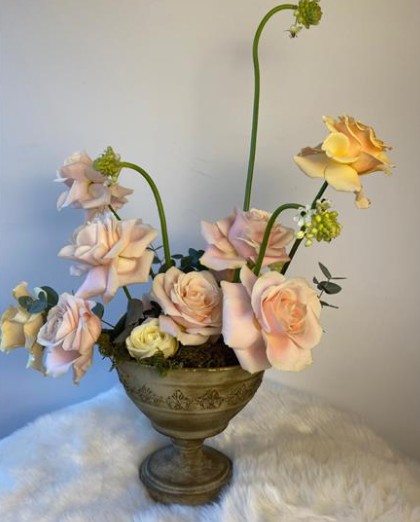 Antoinette Thérèse Florist Mallow 12