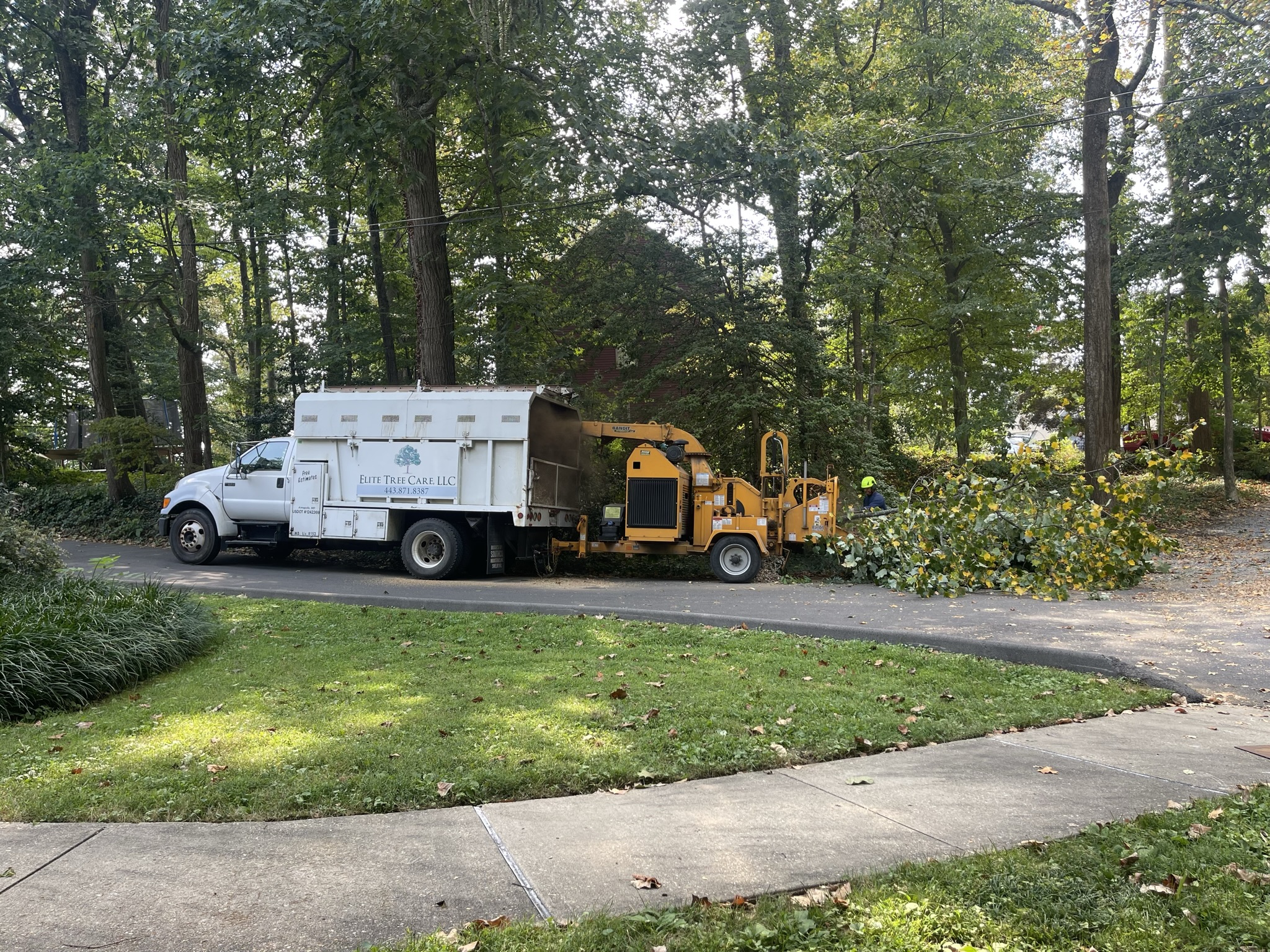 Elite Tree Care
Bob cat services-