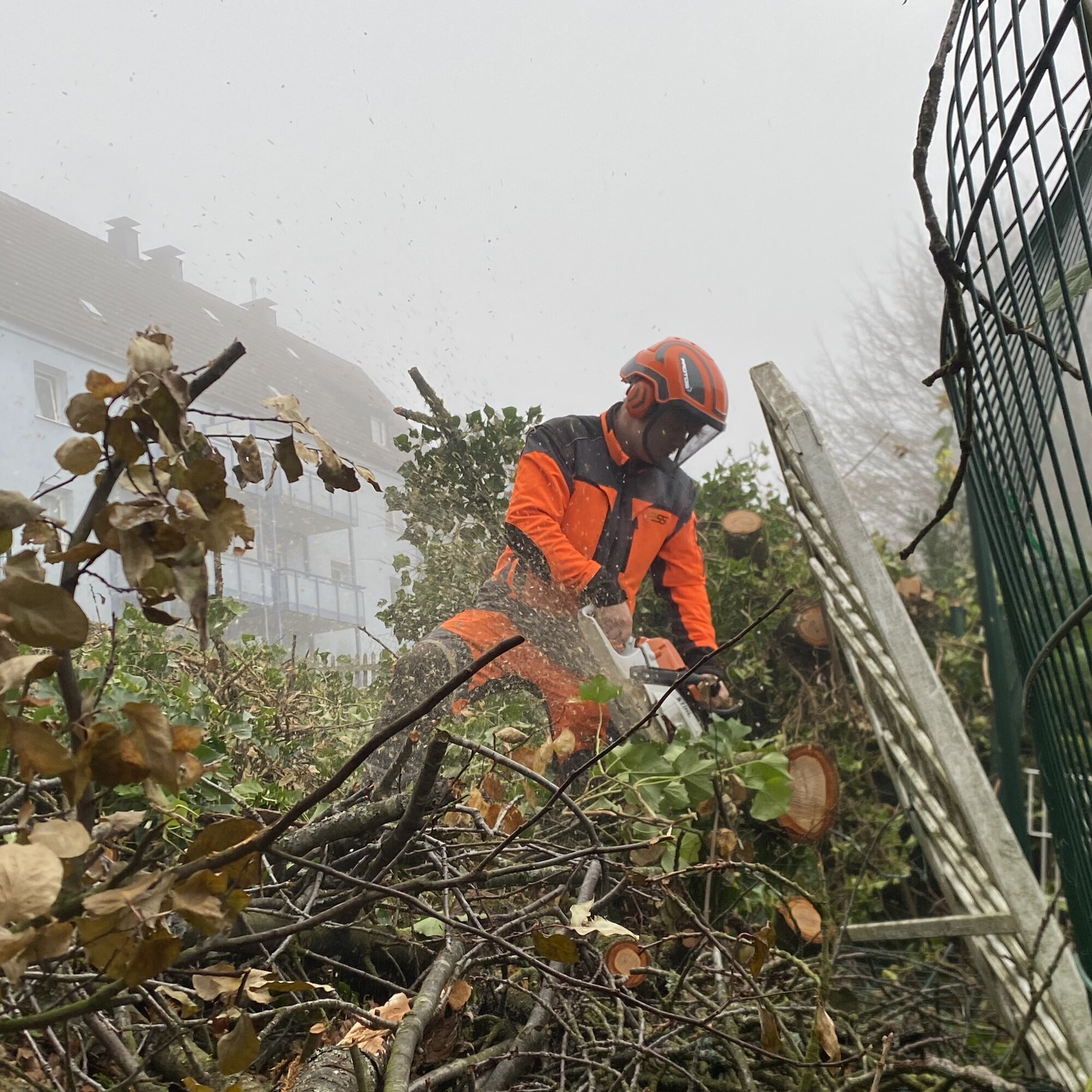 Baumdienst Behan, Im Winkel 22 in Schalksmühle